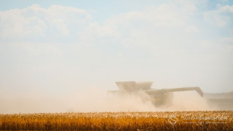На Сумщині намолочено майже 500 тис. тонн зерна нового урожаю