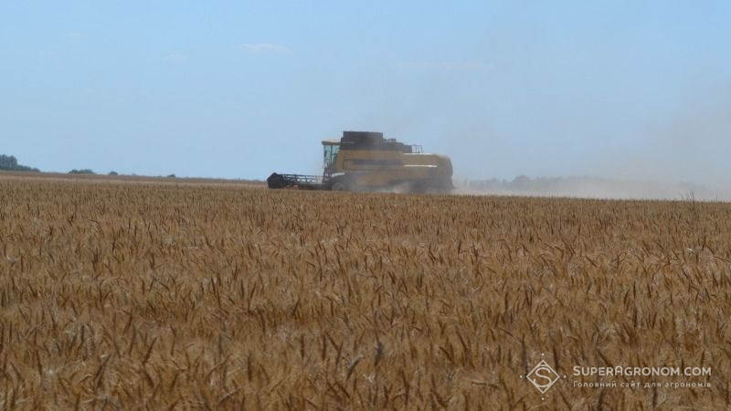 Рівненщина зібрала третину цьогорічного урожаю зерна