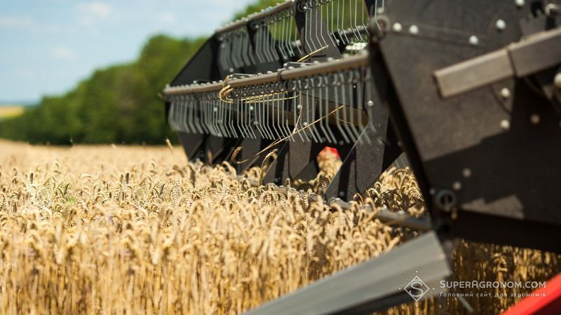 Жнива ранніх зернових завершились у п'яти областях України