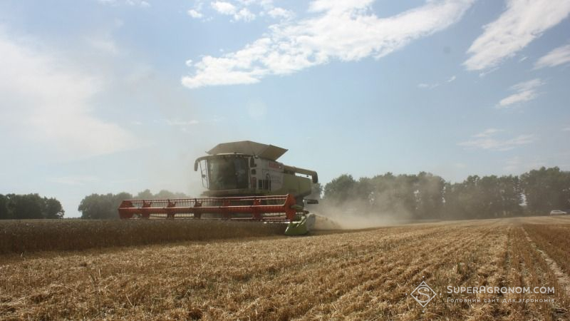 Білорусь зібрала урожай ранніх зернових з половини площ