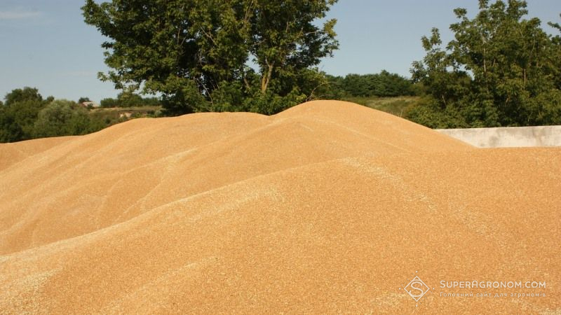 Урожай зерна на Дніпропетровщині увійшов в п'ятірку найбільших за останні 25 років