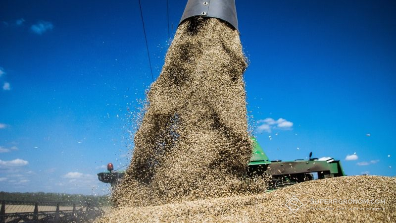 Господарства Житомирщини завершують жнива ранніх зернових, намолочено понад 750 тис. тонн зерна