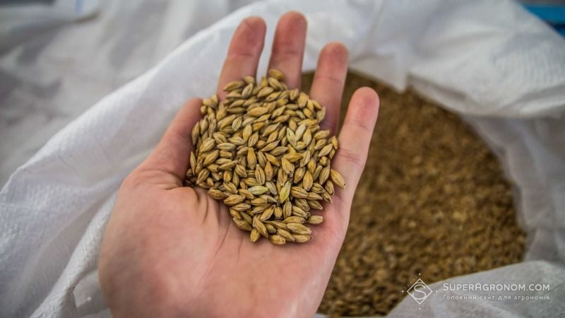 В Україні завершились жнива пшениці, ячменю та гороху