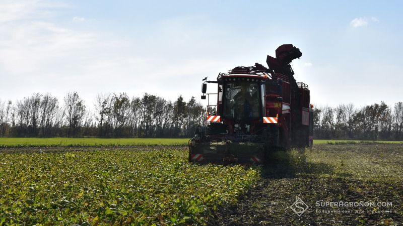 Господарства Житомирщини повідомляють про перші показники урожайності цукрових буряків