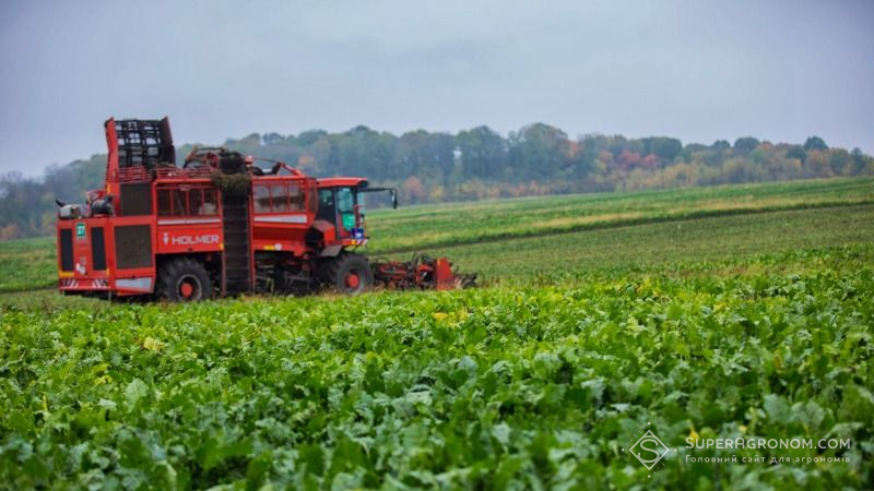Агрономи Вінницької області розповіли про перші результати збирання урожаю цукрових буряків