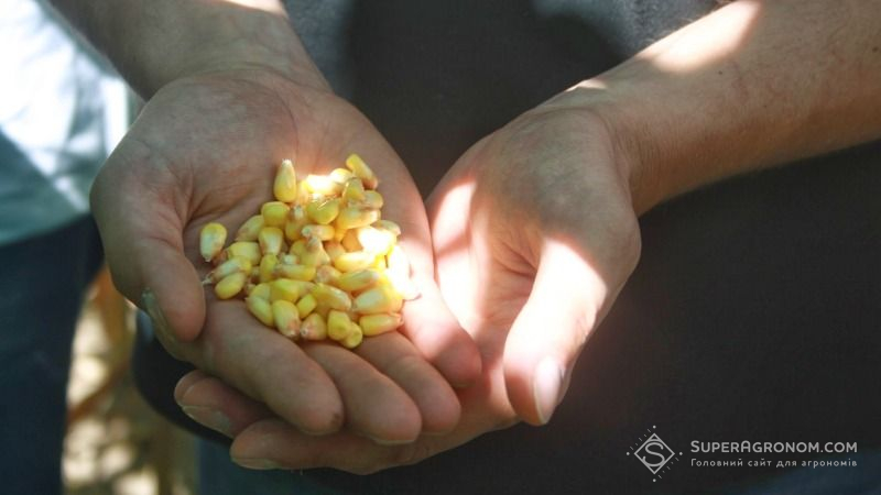 Аграріями країни намолочено 38 млн тонн зерна нового урожаю