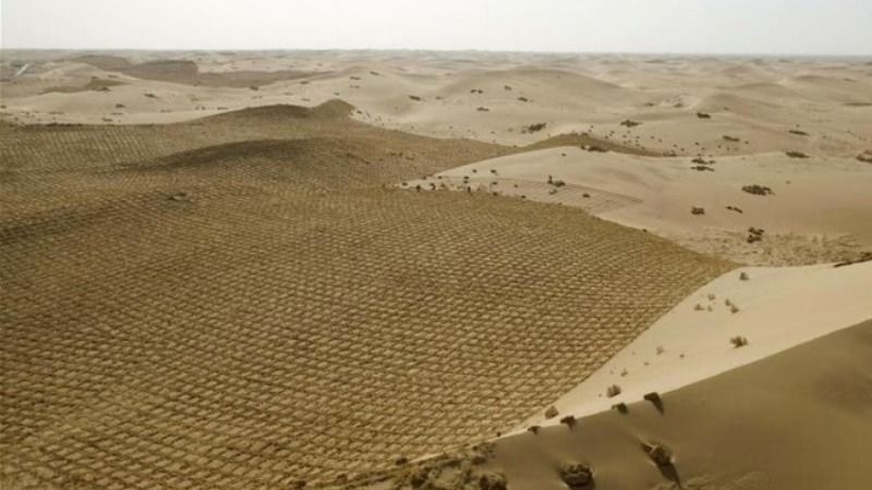 Китайські вчені навчились перетворювати пісок пустелі у родючий ґрунт