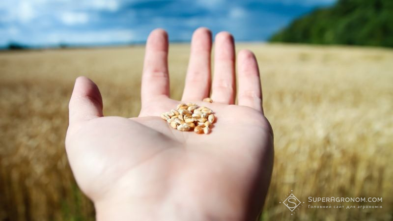 Українськими аграріями зібрано 40 млн тонн зерна нового урожаю
