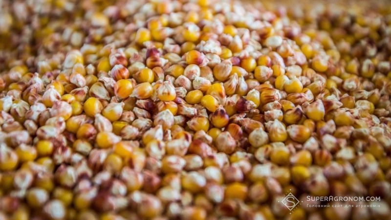 Аграріями зібрано 45 млн тонн зерна нового урожаю