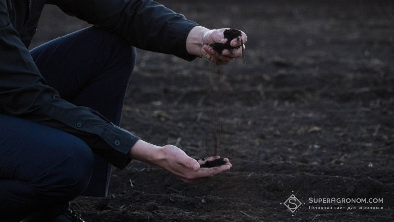 Деградація українських ґрунтів призводить до втрати 20 млрд грн щороку