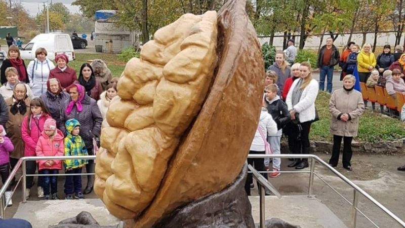 Перший в Україні пам'ятник волоському горіху з'явився на Дніпропетровщині