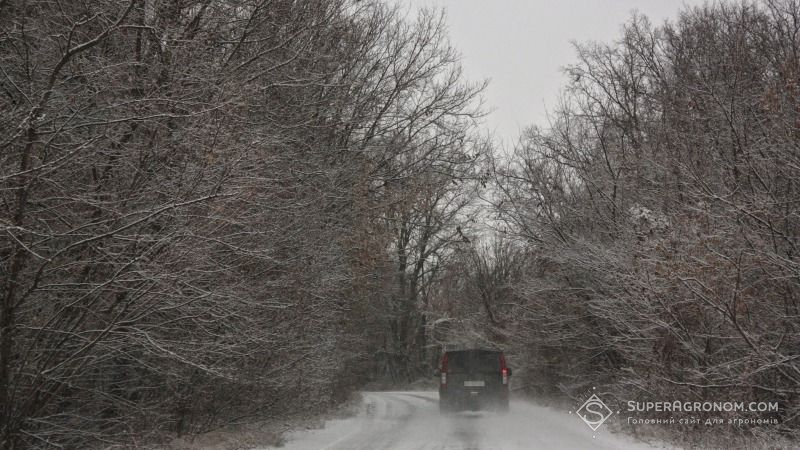 Вчора Закарпатська область постраждала від негоди, сніг та шквальний вітер наробили лиха