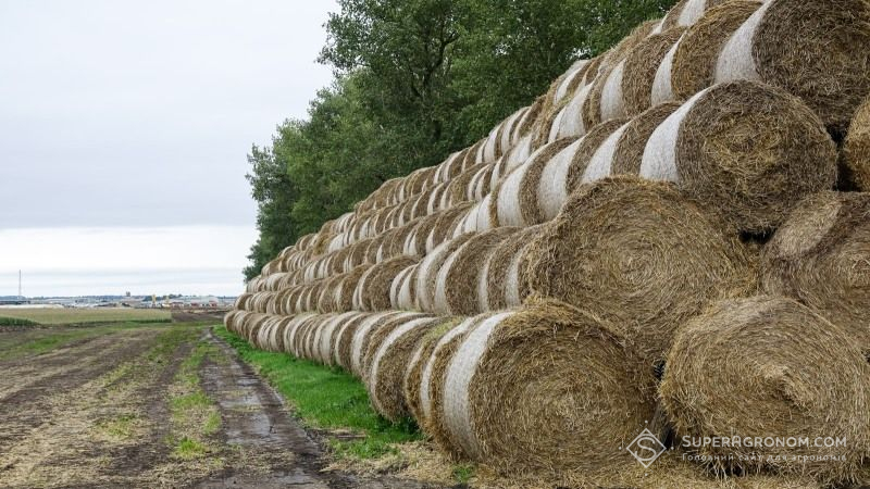 Аграріїв Тернопільщини обкрадають місцеві жителі
