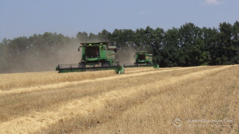 Скорочення виробництва зернових на 5,9% пов’язане зі зниженням урожайності та перерозподілом посівних площ —НААН