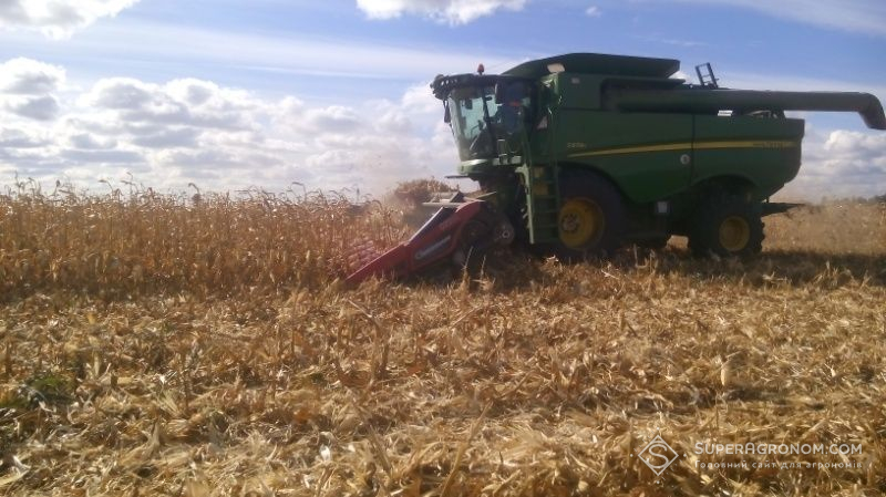 На Полтавщині дощі гальмують збирання кукурудзи, проте аграрії не зупиняються