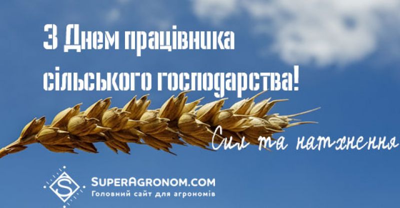 Щиро вітаємо з Днем працівника сільського господарства України!