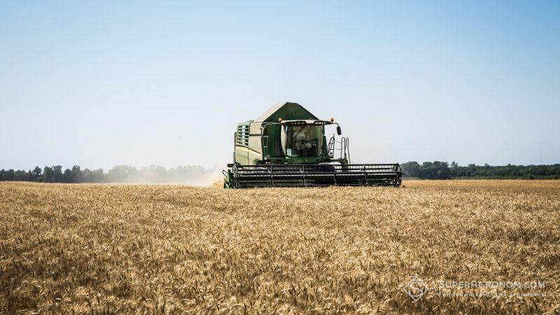 Аграрії Житомирщини збільшили обсяги виробництва зерна