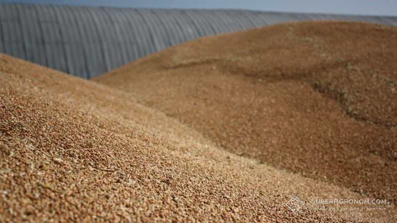 Найбільші запаси пшениці на Одещині, Харківщині та Запоріжжі