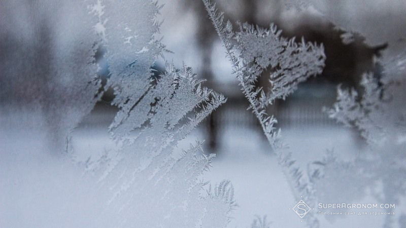 Від сьогодні в Україні розпочинається справжня зима