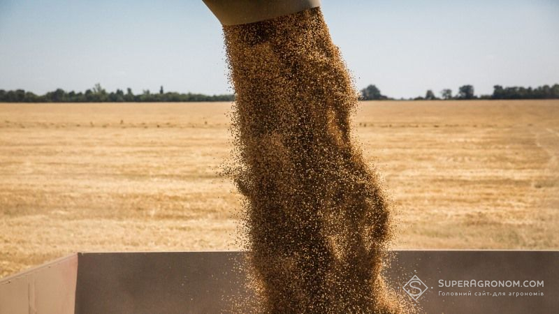 В 2017 році Білорусь зібрала 8 млн тонн зерна