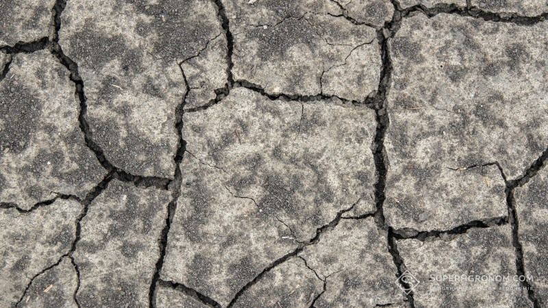 Найбільше від минулорічної посухи постраждали аграрії центральних областей