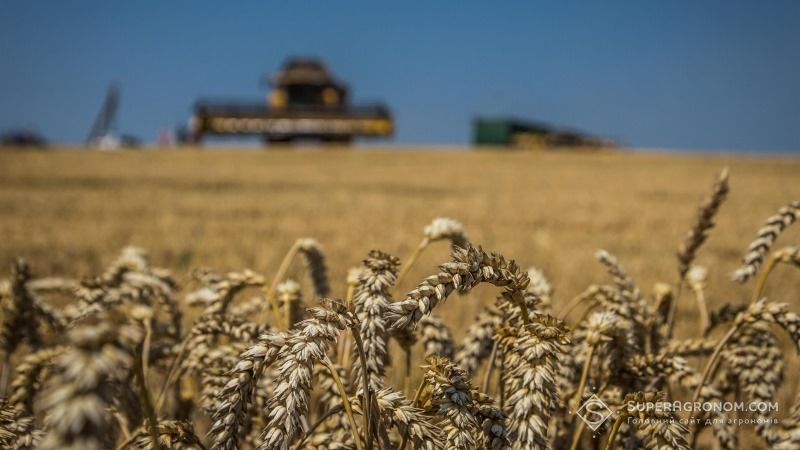 За підсумками минулого року аграрії зібрали 61,3 млн тонн зерна
