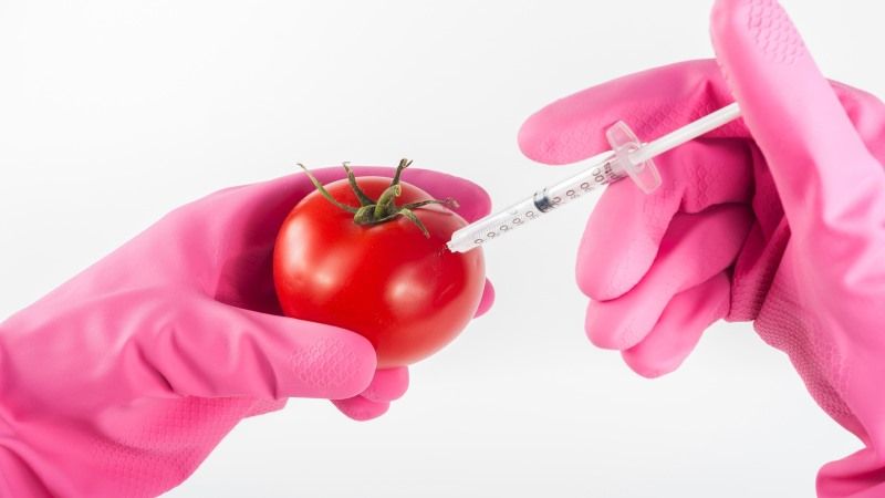 Людям не варто боятись ГМО — нобелівський лауреат з хімії