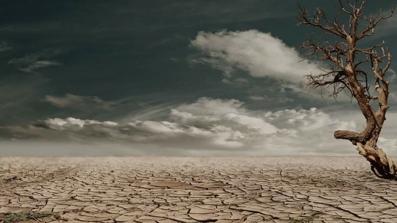 Через посуху Африка готується до запровадження надзвичайного стану