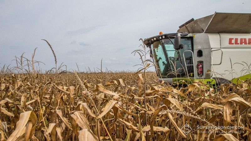 Визначено рейтинг областей з найгіршою врожайністю кукурудзи