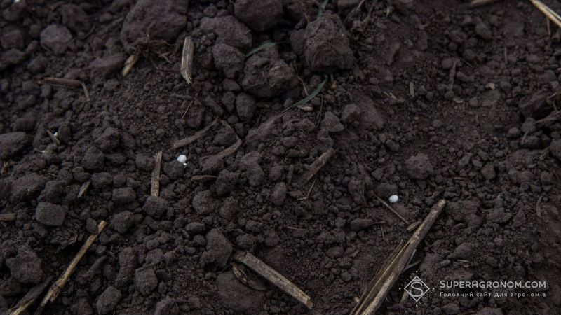 Заборона імпорту російських добрив може призвести до поглиблення проблеми виснаження ґрунтів