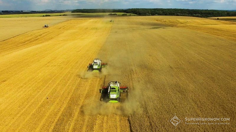 Урожай зерна в Україні може зрости майже на 1 млн тонн — прогноз
