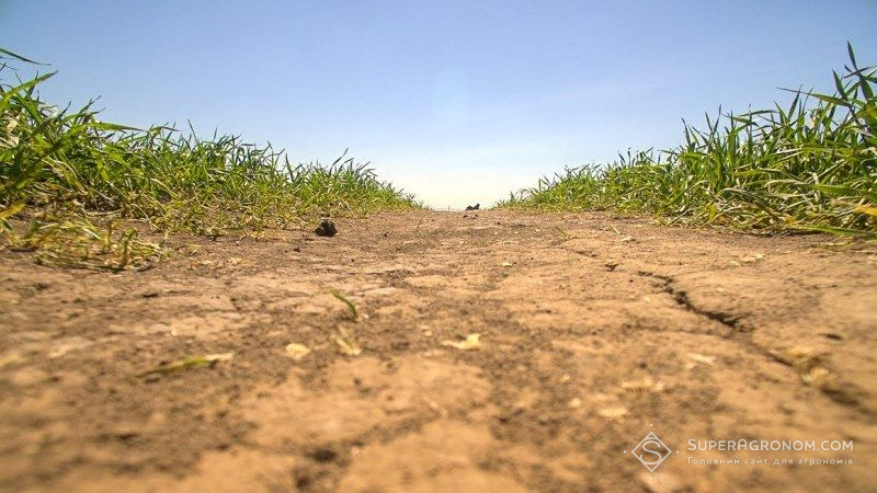 Аграрії степового півдня потерпають від нестачі вологи в ґрунті