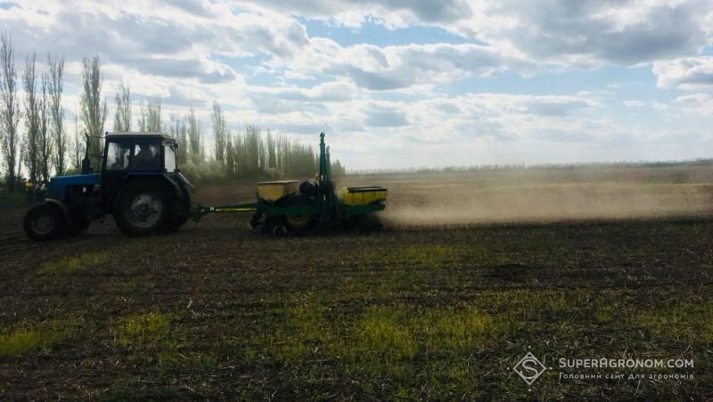 Погодні умови можуть призвести до втрати 10-30% урожаю на Чернігівщині