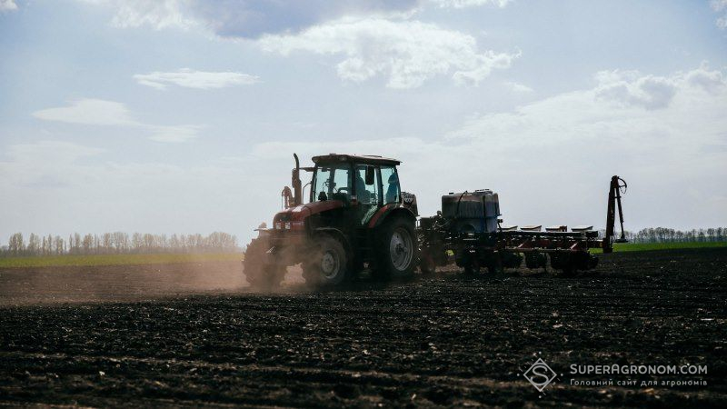 Білорусь завершила посівну ранніх зернових та зернобобових культур