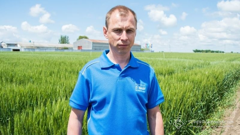 Використання ретардантів сприяє збільшенню врожайності зернових — експерт