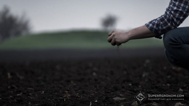 Україна стрімко втрачає родючі землі — експерт