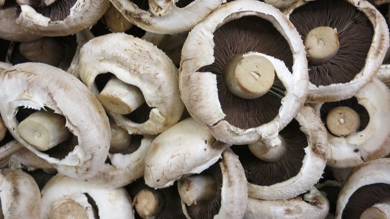 Поляки створили комплекс з вирощування грибів на Черкащині