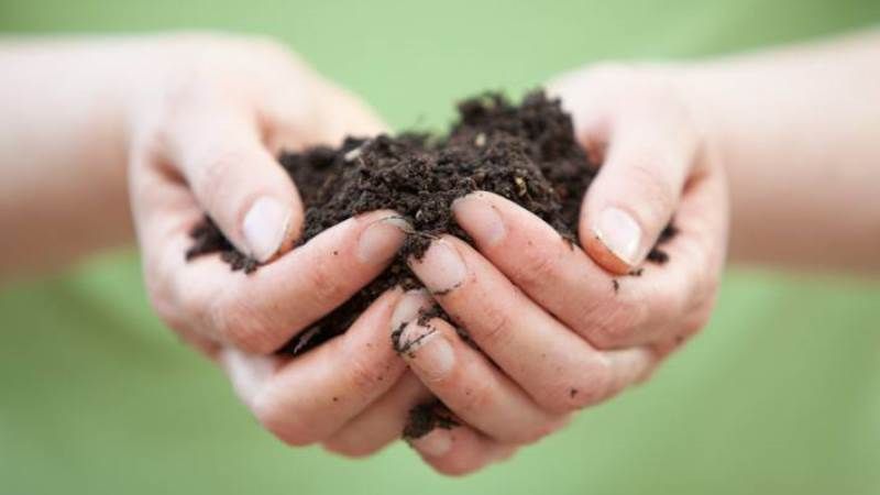 ФАО запускає в Україні проект боротьби з деградацією ґрунтів