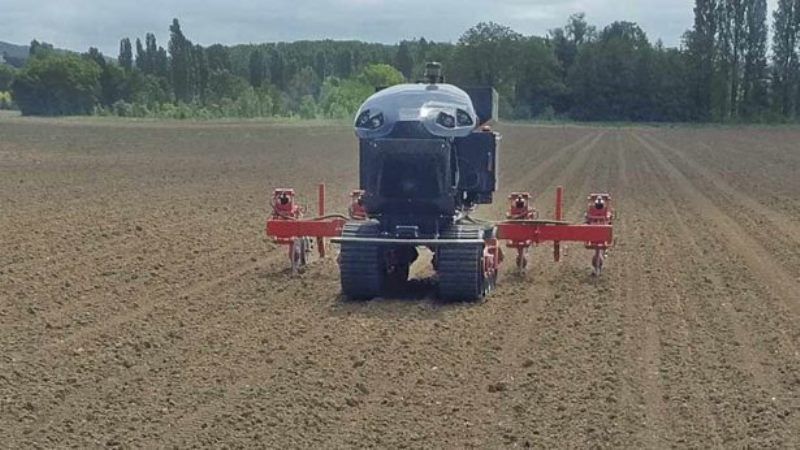На французьких полях роботи самостійно вирощують кукурудзу