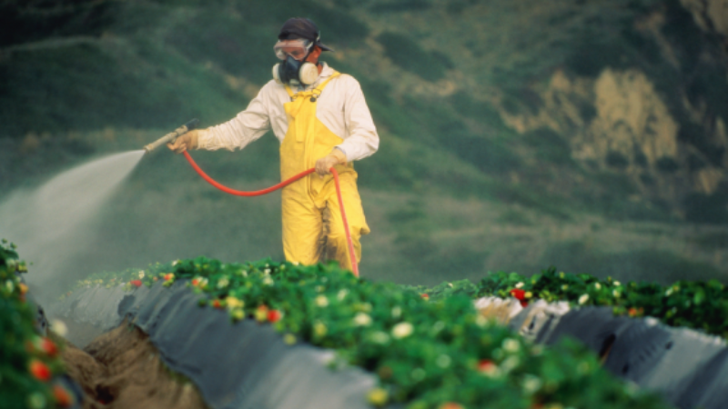 У Китаї створили електронну базу пестицидів