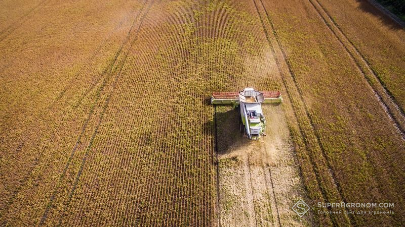 В Україні очікується середня урожайність озимих за 5 років — Укргідрометеоцентр