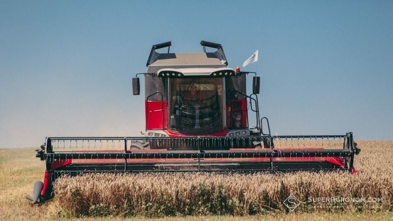 В Німеччині очікують найнижчий врожай зернових за останні 10 років