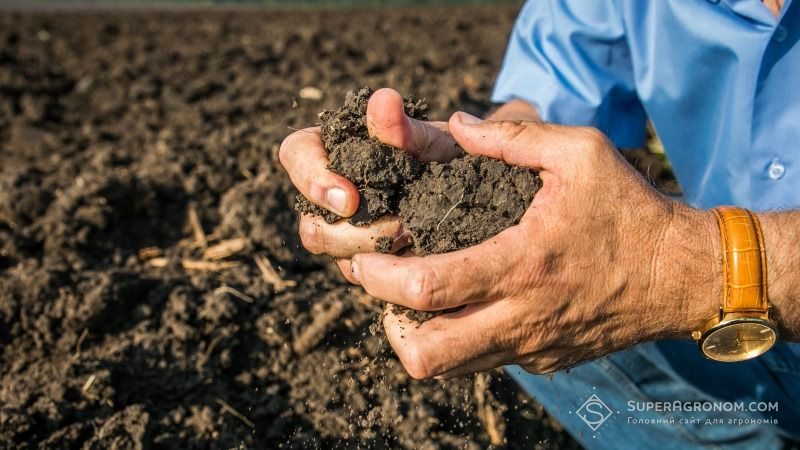 В Україні спостерігається різке зменшення вмісту гумусу в ґрунтах