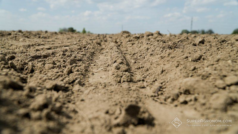Експерт назвав основні проблемні аспекти збереження азоту в ґрунтах