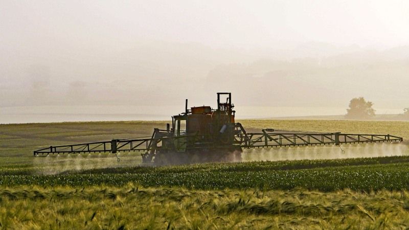 Обробка полів пестицидами завершилась втратою майже тисячі гектарів посівів