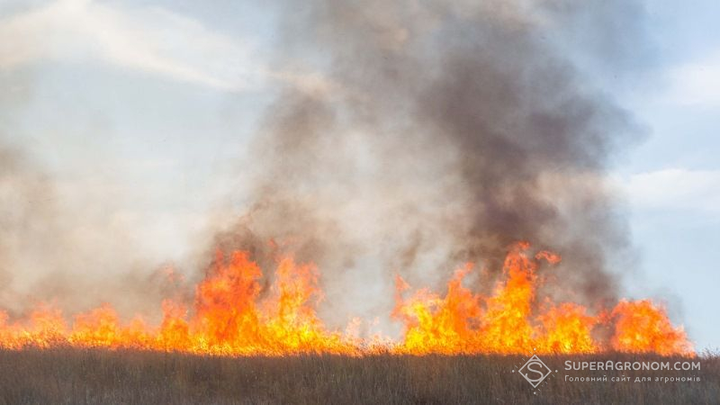 Пожежа на Херсонщині ледве не завдала мільйонних збитків місцевим сільгоспвиробникам