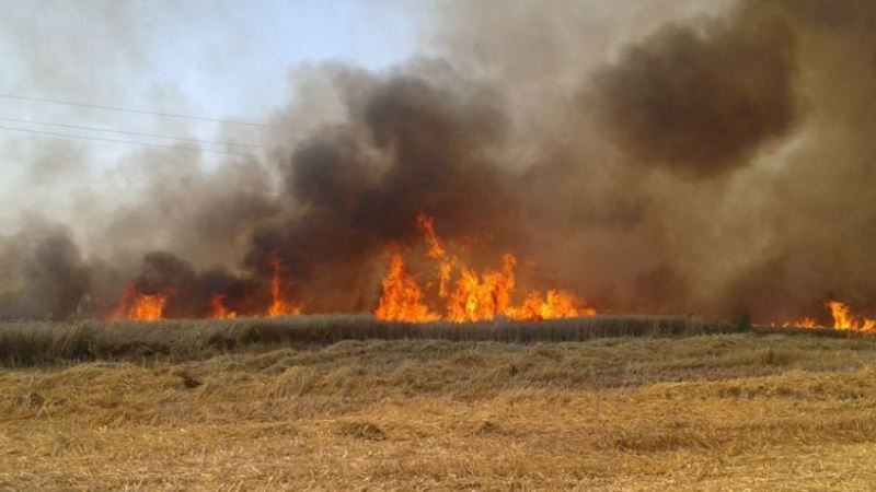 Вогонь продовжує нищити пшеничні поля на Запоріжжі
