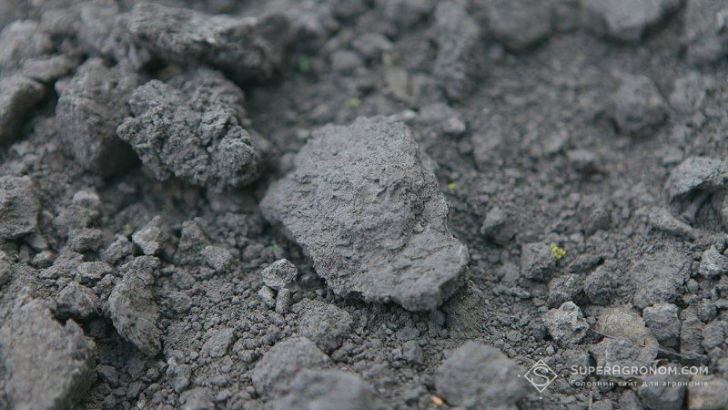Вітчизняні ґрунти потребують розкислення — НААН