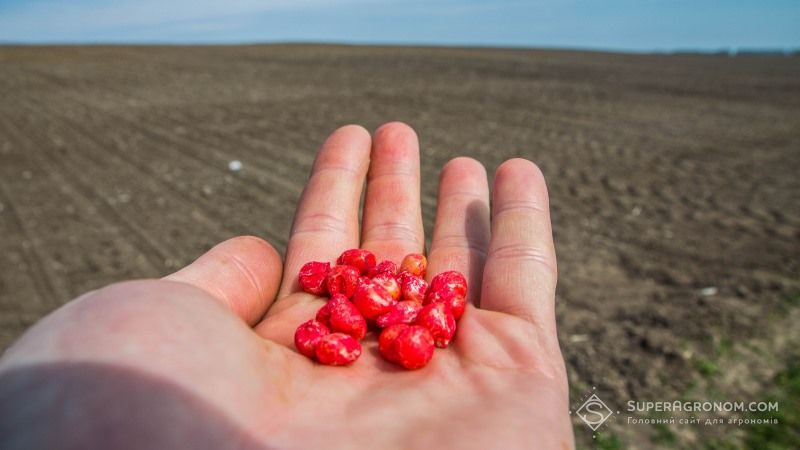 Визначено, якого насіння з-за кордону до України було завезено найбільше