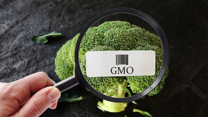 Нобелівський лауреат закликає до впровадження освітньої кампанії захисту ГМО